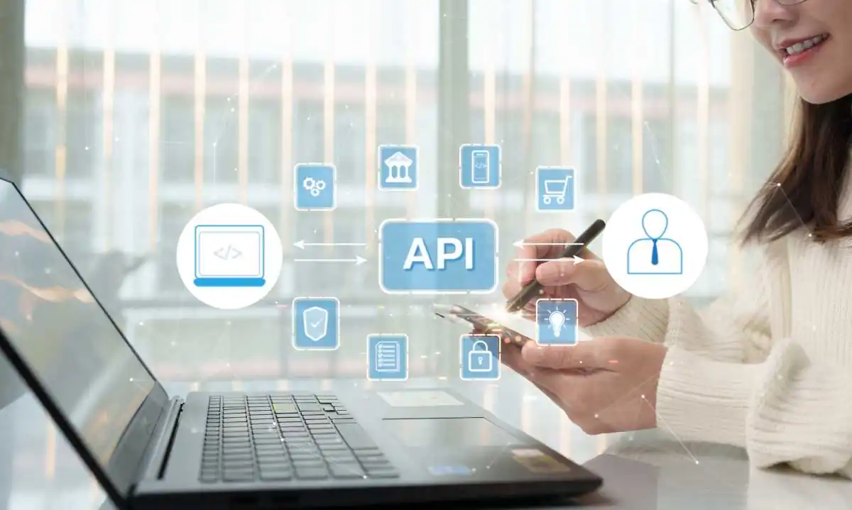 What is an Online Company Store API Integration?
